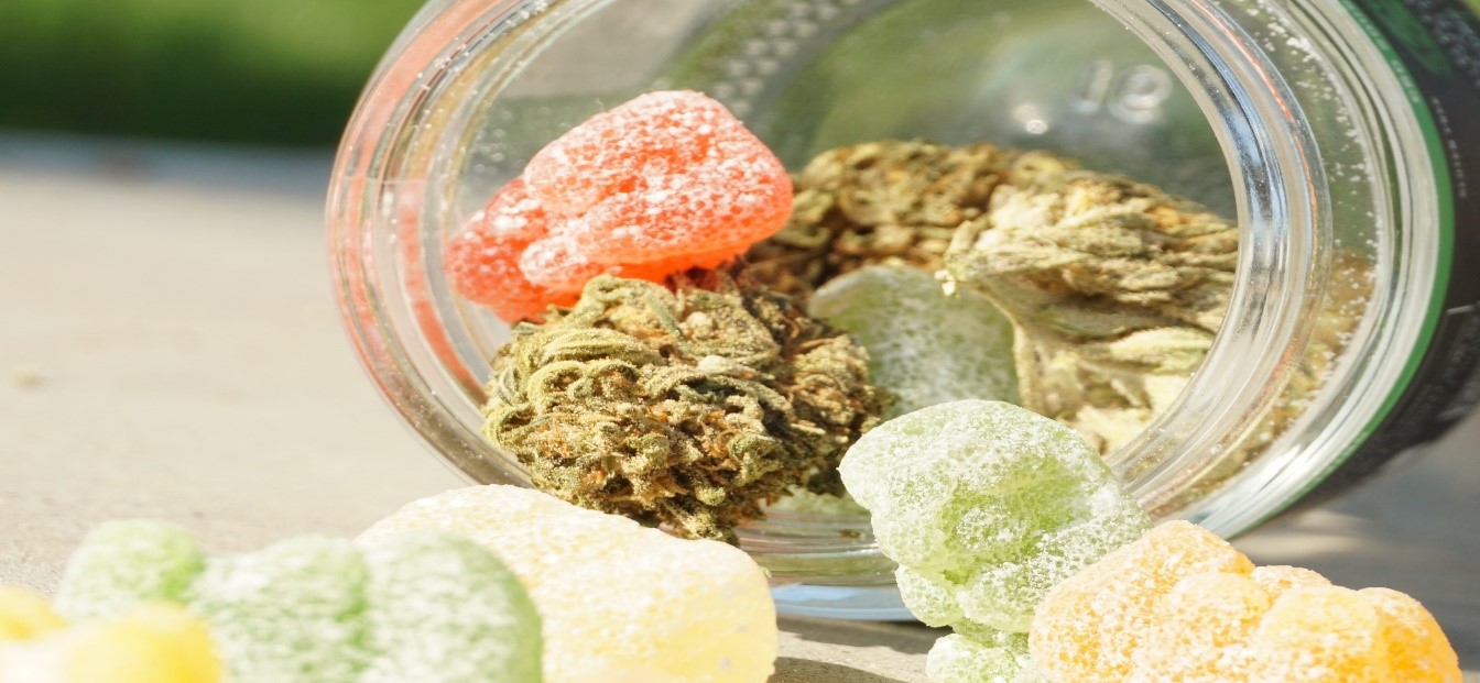 You are currently viewing Does CBD Gummies Expire? Everything You Need To Know