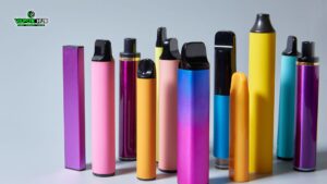 Read more about the article What is a good place to buy disposable vapes? Top Five Suggestions