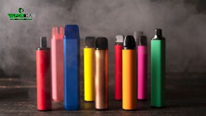 Read more about the article Disposable Vapes: A Complete Buyer’s Guide for 2026